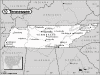 TENNES-P1.gif (37707 bytes)